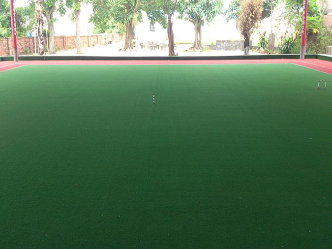 門(mén)球曲絲草-878